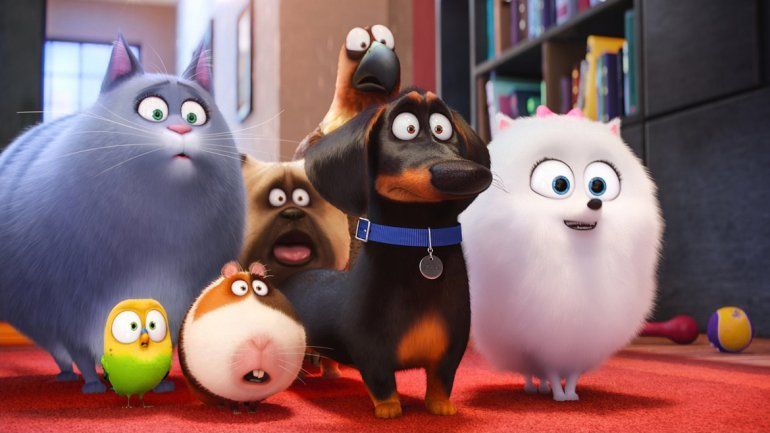 Pese a la preponderancia de los perros