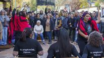 en 15 fotos, asi se vivio el festival en defensa del museo la pastera en san martin de los andes