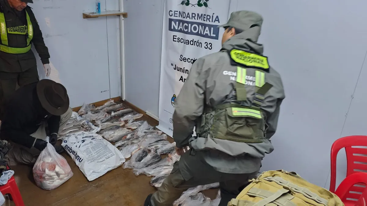 Pesca furtiva: secuestran 80 kilos de truchas arco iris