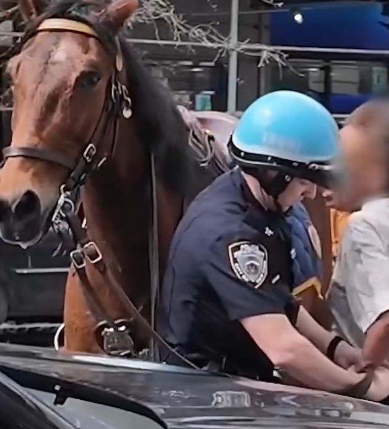 La sospechosa fue imputada por hurto y por proporcionar información falsa a la Policía de Nueva York. La sospechosa fue imputada por hurto y por proporcionar información falsa a la Policía de Nueva York.