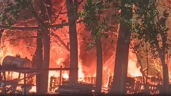 se descontrolo un incendio que arrasa con un sector de chacras en rincon de los sauces se descontrolo un incendio que arrasa con un sector de chacras en rincon de los sauces