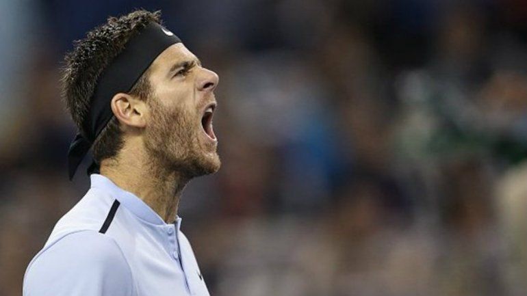 Del Potro venció al japonés Sugita y ya está en semis en Estocolmo