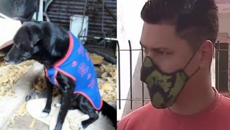 Brutal: colgó y mató a su perro porque mordió a su hijo