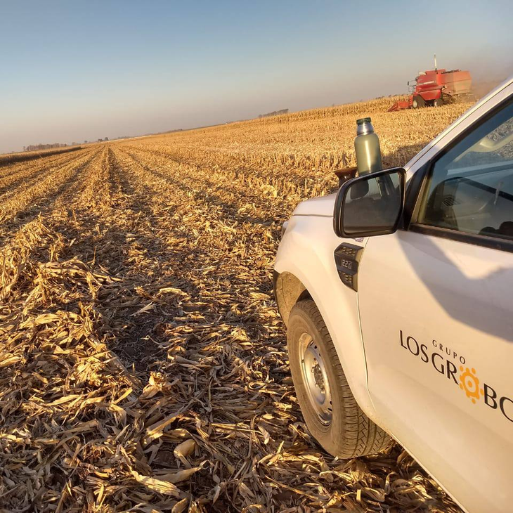 La crisis argentina de 2001 pone a prueba la resiliencia. Foto: losgrobo.com