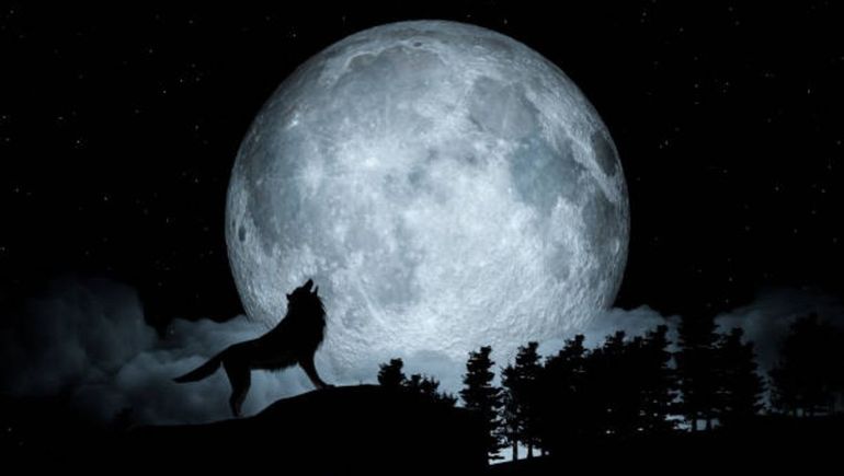 Llega la fascinante Luna Llena del Lobo de este 2024