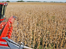 La suba representa más del doble de lo recaudado en 2023. La suba representa más del doble de lo recaudado en 2023.