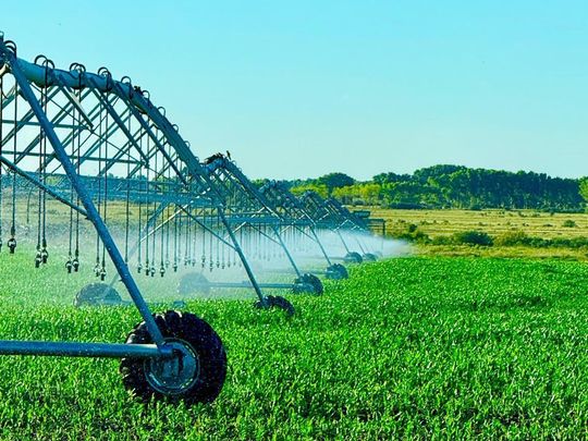 Lanzamiento de créditos del CFI para la inversión en sistemas de riego y eficiencia energética.