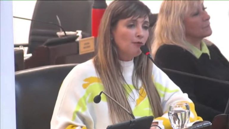 Otro papelón en el Caso Cecilia. La diputada Claudia Lorena Panzardi apuntó contra la víctima.