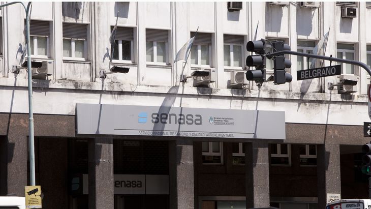 Las autoridades del SENASA respaldan el ingreso de carne con hueso a la Patagonia. La Pampa toma eso como bandera. Las autoridades del SENASA respaldan el ingreso de carne con hueso a la Patagonia. La Pampa toma eso como bandera.