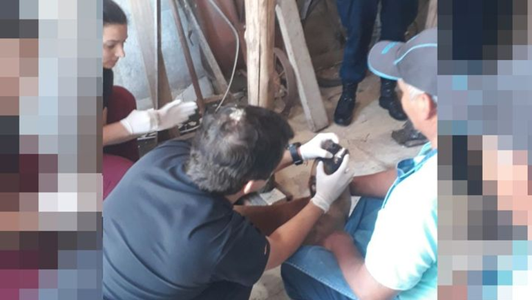 Un albañil fue detenido por abusar de tres perras