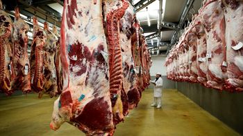 crisis en las exportaciones de carne: china reduce compras a argentina en un 46%