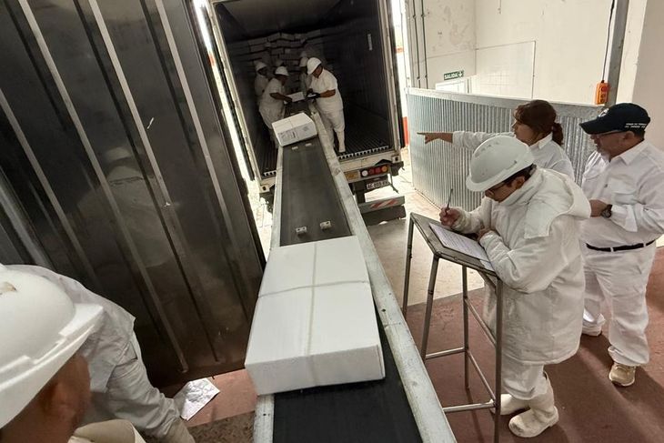 Desde la Patagonia al Golfo: un frigorífico rionegrino retoma envíos de carne ovina con destino Qatar