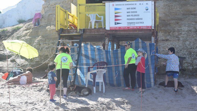 En Las Grutas ya apresaron a los perros de la playa