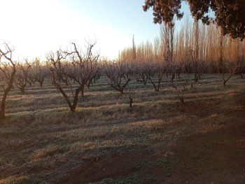 Las temperaturas estarán por debajo de los 0 grados