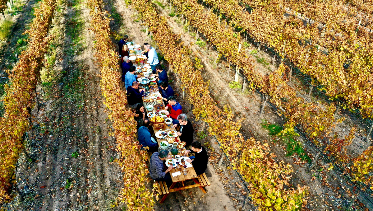Se viene la Semana del Vino 2022 en San Patricio del Chañar
