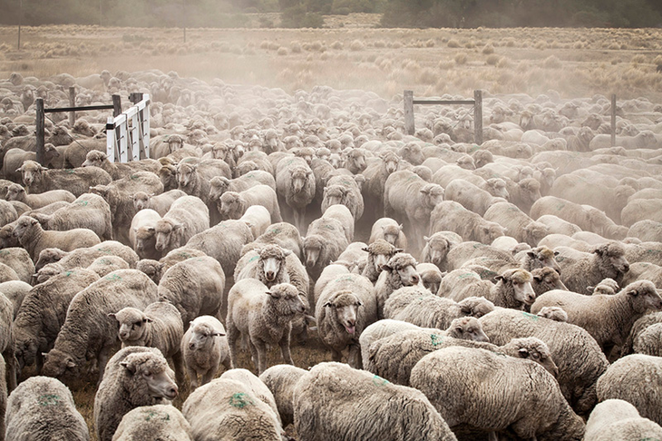 Estancia Leleque en plena Patagonia: 40.000 hectáreas de historia británica convertidas en bastión agroindustrial italiano, símbolo de la transformación territorial argentina. Estancia Leleque en plena Patagonia: 40.000 hectáreas de historia británica convertidas en bastión agroindustrial italiano, símbolo de la transformación territorial argentina.