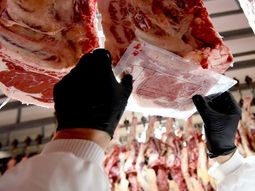 Europa ofrece precios hasta 50% superiores a América Latina y triplica el valor de China: la clave detrás del nuevo escenario exportador. Europa ofrece precios hasta 50% superiores a América Latina y triplica el valor de China: la clave detrás del nuevo escenario exportador.