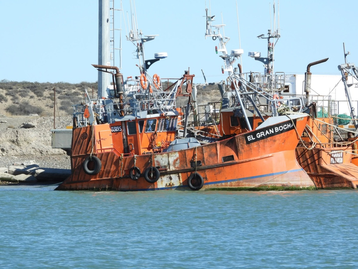 El INIDEP relevó el Golfo San Jorge y el litoral de Chubut durante la campaña de invierno 2026