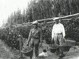 ¡Buen viñedo, buena cosecha! Sin datos del lugar, personas y año - Archivo Cabus Trenes.jpg