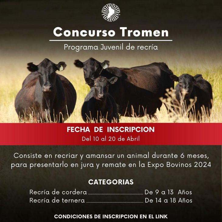 La final del concurso será en pista durante la Expo Bovinos 2024. Foto: gentileza SRN. La final del concurso será en pista durante la Expo Bovinos 2024. Foto: gentileza SRN.