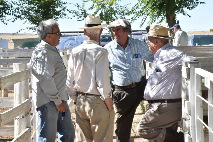 Fueron dos jornadas a pleno sol, casi sin viento y con ventas $70 millones. Fueron dos jornadas a pleno sol, casi sin viento y con ventas $70 millones. 