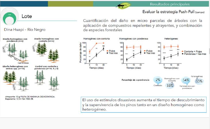 Cuantificación del daño de la plaga. Cuantificación del daño de la plaga.