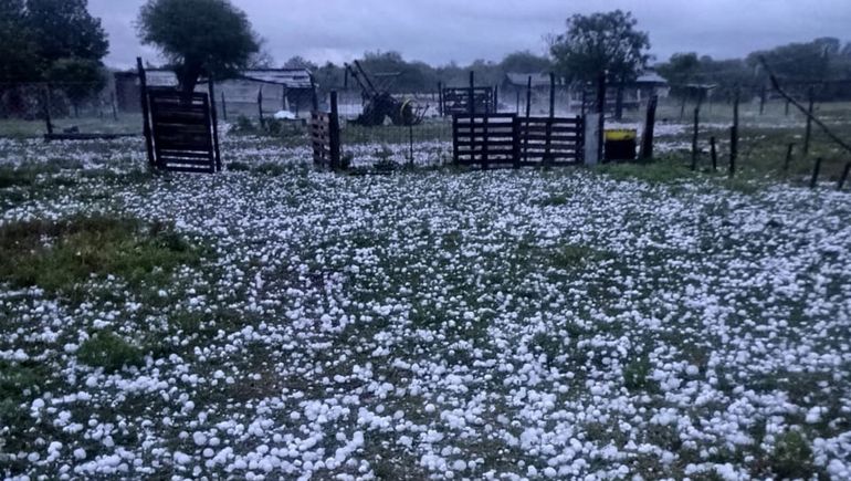 La granizada mató a decenas de animales y dañó el techo de la casa de la familia Martínez (Foto: Gentileza / La Nación)