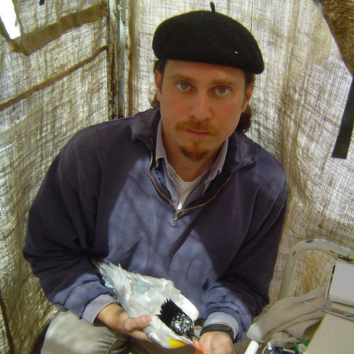 Gatto explica que, al no hallar sus brotes y frutos naturales, los loros recurren a plantas ornamentales y cultivos, una dieta que los científicos califican como perjudicial para su salud. Gatto explica que, al no hallar sus brotes y frutos naturales, los loros recurren a plantas ornamentales y cultivos, una dieta que los científicos califican como perjudicial para su salud.