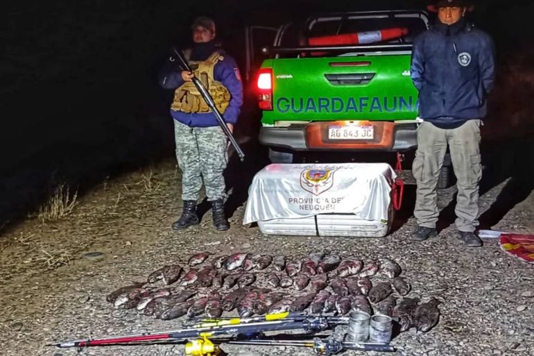 Incautan truchas, codornices y leña nativa: el operativo en cinco rutas de Neuquén