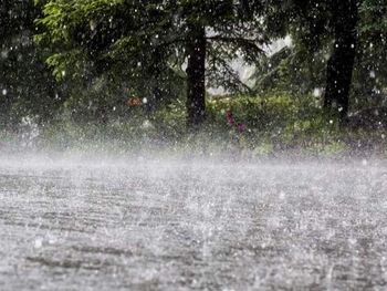 El SMN confirmó un alerta por lluvia y fuertes vientos.