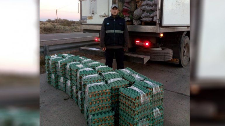 El tráfico no para: secuestran 600 docenas de huevo en Picún Leufú