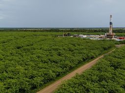 El plan de GeoPark prevé que el valor de la compañía y la producción se dupliquen. El plan de GeoPark prevé que el valor de la compañía y la producción se dupliquen.