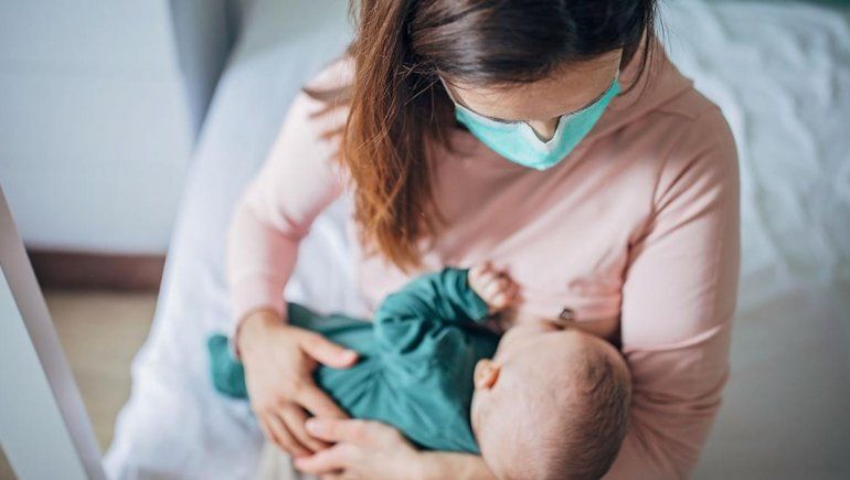 Covid-19: aseguran que la leche materna transfiere anticuerpos