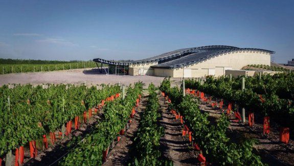Grupo Peñaflor gana espacios en los vinos de la Patagonia