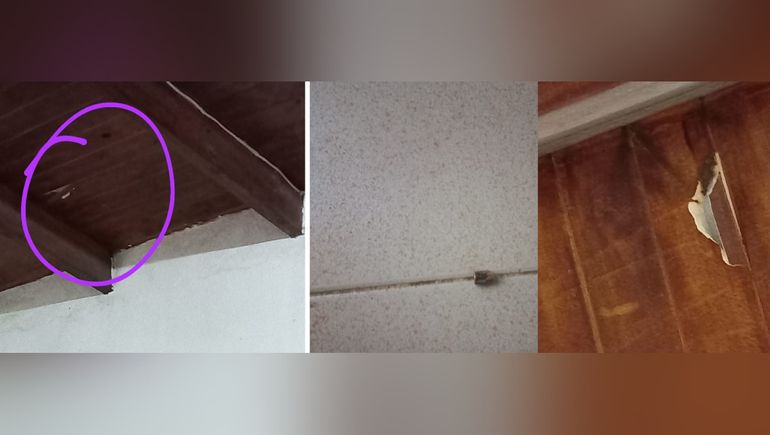 Una bala perdida entró por el techo mientras todos dormían