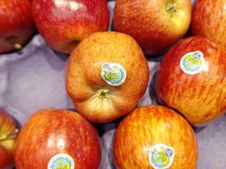 Buscar la forma de dar valor agregado a este tipo de productos, puede ser una ventana para aumentar el consumo, detalllaron desde la cadena de supermercados. Buscar la forma de dar valor agregado a este tipo de productos, puede ser una ventana para aumentar el consumo, detalllaron desde la cadena de supermercados.