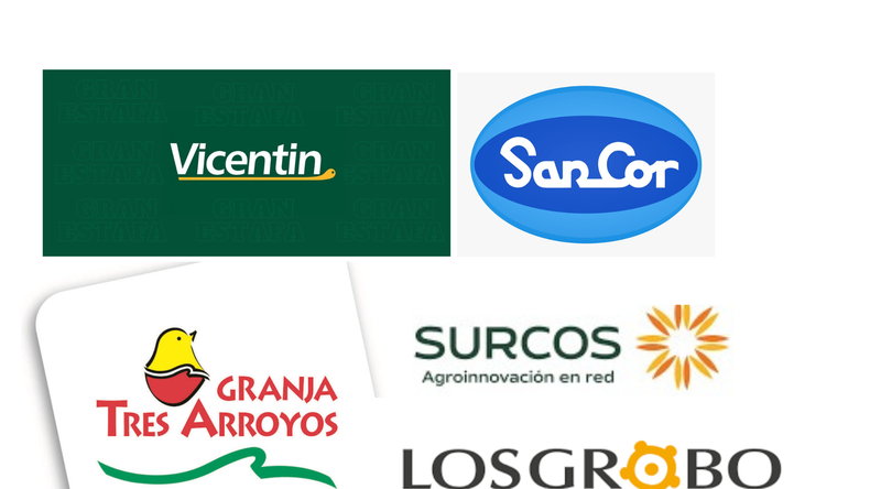 La caída de firmas históricas revela un entramado de desequilibrios financieros, malas decisiones y un nuevo escenario económico sin red de contención. | LM Neuquen La caída de firmas históricas revela un entramado de desequilibrios financieros, malas decisiones y un nuevo escenario económico sin red de contención.