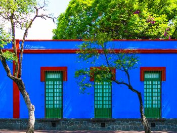 la casa que es frida: el museo que conserva el alma de kahlo en coyoacan