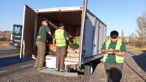 Suman un nuevo control sanitario en el ingreso a Neuquén: ¿En qué sector?