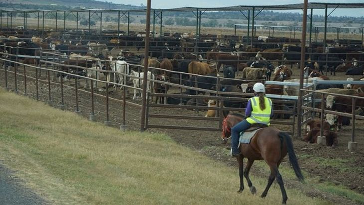 La contracción conjunta de los principales exportadores marcaría un punto de inflexión en el comercio internacional del sector. La contracción conjunta de los principales exportadores marcaría un punto de inflexión en el comercio internacional del sector.