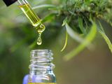 Elaboración de productos medicinales a base de cannabis