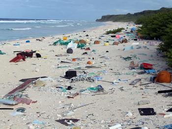 Cajones, redes y cabos dominan las costas de Chubut: el 90% es basura pesquera.
