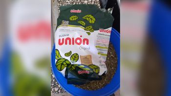 viajaba en micro con medio kilo de cocaina en un paquete de yerba viajaba en micro con medio kilo de cocaina en un paquete de yerba