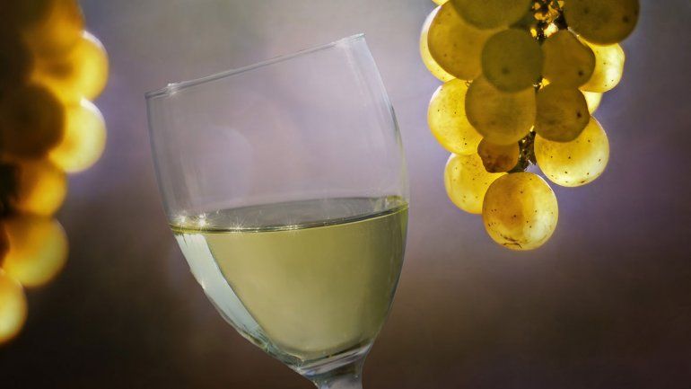 Siete razones para elegir los mejores blancos