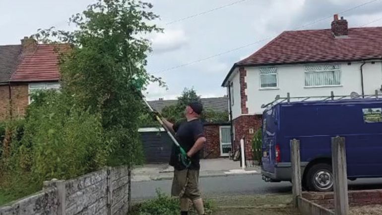 Se filmó cortando el árbol del vecino y desató un caliente debate en las redes