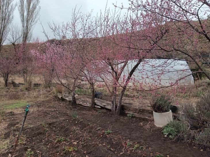 Más que verduras y frutas finas: un acto de amor por la cultura rural. Foto: gentileza