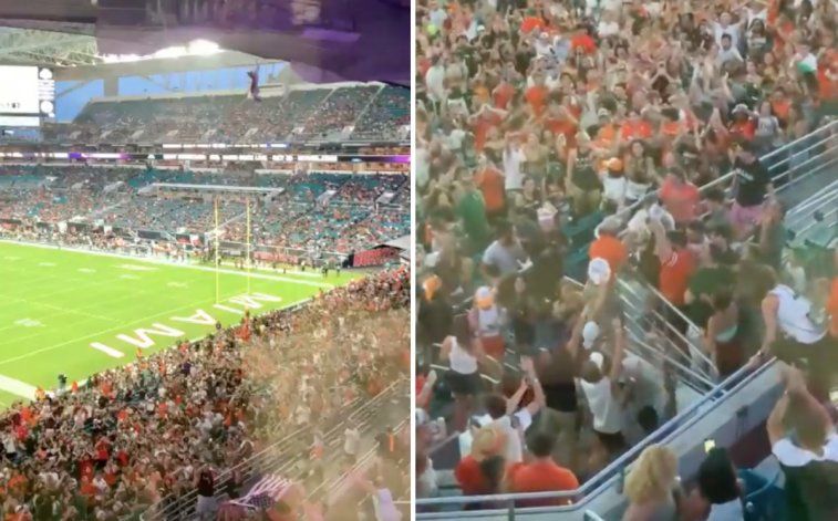 Recorre el mundo: salvan a un gato que cae de la tribuna y lo festejan como un gol