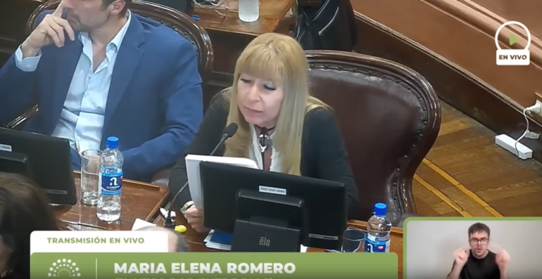 Las imágenes muestran al diputado en plena actividad legislativa y la situación fue presentada como un episodio de tensión dentro del recinto.