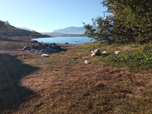 Caviahue: denuncian contaminación y acampes en lugares prohibidos