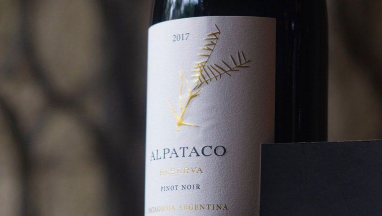 Pinot Noir: ¿qué hay de nuevo en la alta gama?